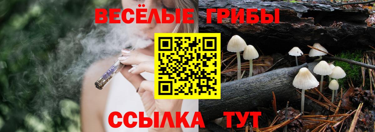 Галлюциногенные грибы MAGIC MUSHROOMS Ишим