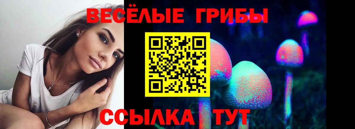 Ишим  Галлюциногенные грибы GOLDEN TEACHER  Галлюциногенные грибы ЛСД  Вход с VPN 